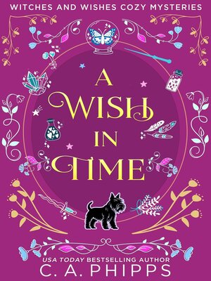 cover image of A Wish in Time